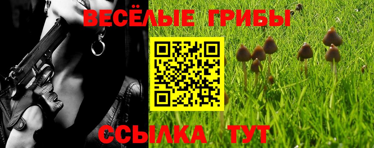 Югорск  Галлюциногенные грибы мухоморы  Галлюциногенные грибы Psilocybine cubensis  Вход с VPN 